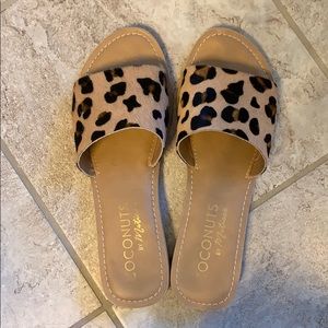 Coconuts by Matisse slides